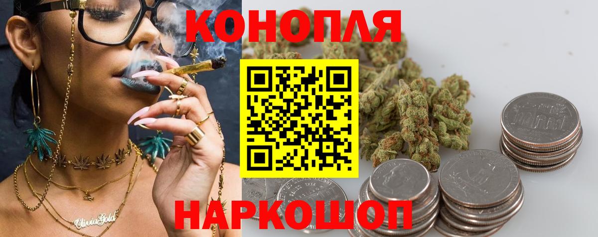 Канабис сатива Маркс